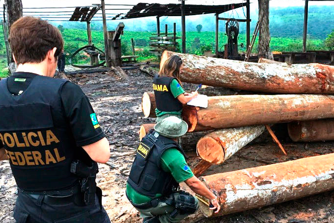 AEIM finaliza el informe preliminar de evaluación de riesgos (EUTR) sobre Brasil