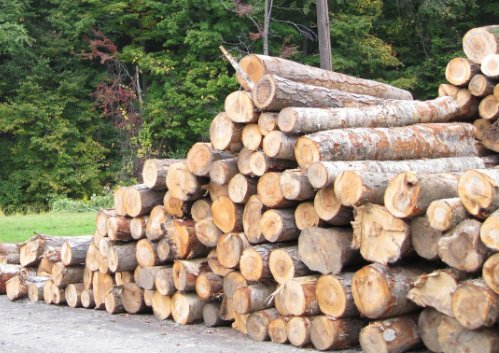 Importacion de madera